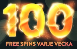 Free spins Betspin
