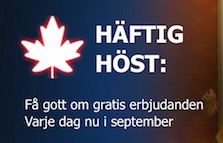 Haftig host 10Bet