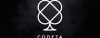 Codeta Casinologo